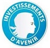 Investissement d'avenir